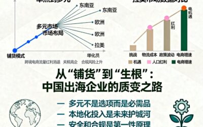 从“铺货”到“生根”：中国企业出海的本地化战略与多元布局