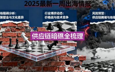 政策风向、爆品机会与供应链风险全解析